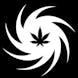 Storm Cannabis Co. Logo